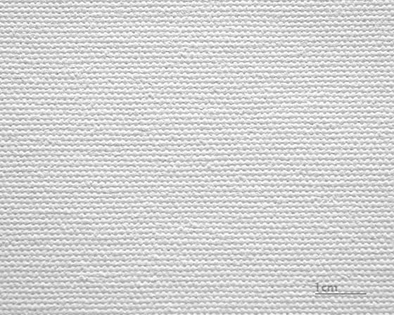 Toile Salvador (mate)