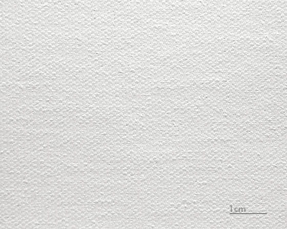 Toile Raphael (mate)