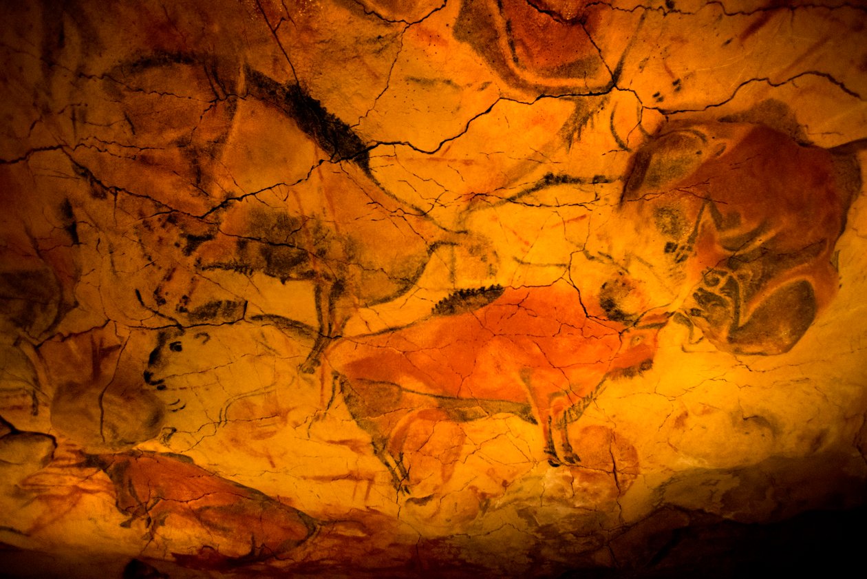 Peinture de bison dans les grottes d