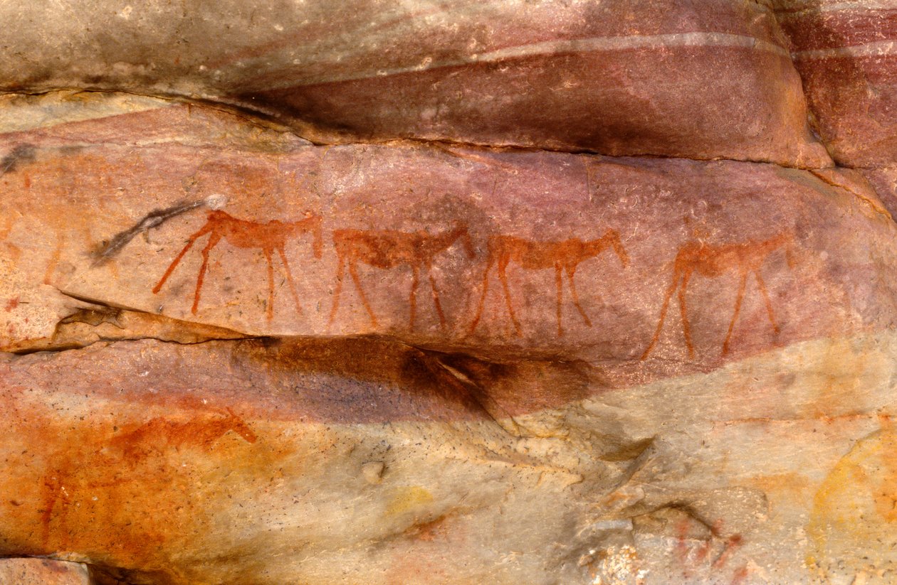 Peintures rupestres des San (Bushmen), Cedarburg, Cap-Occidental - Unknown