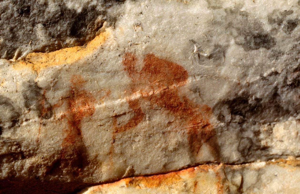 Peintures rupestres des San (Bushmen), Cedarburg, Cap-Occidental - Unknown