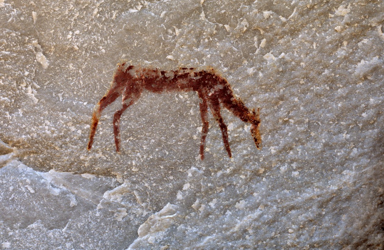 Peinture rupestre San (Bushmen), Cedarburg, Cap-Occidental - Unknown