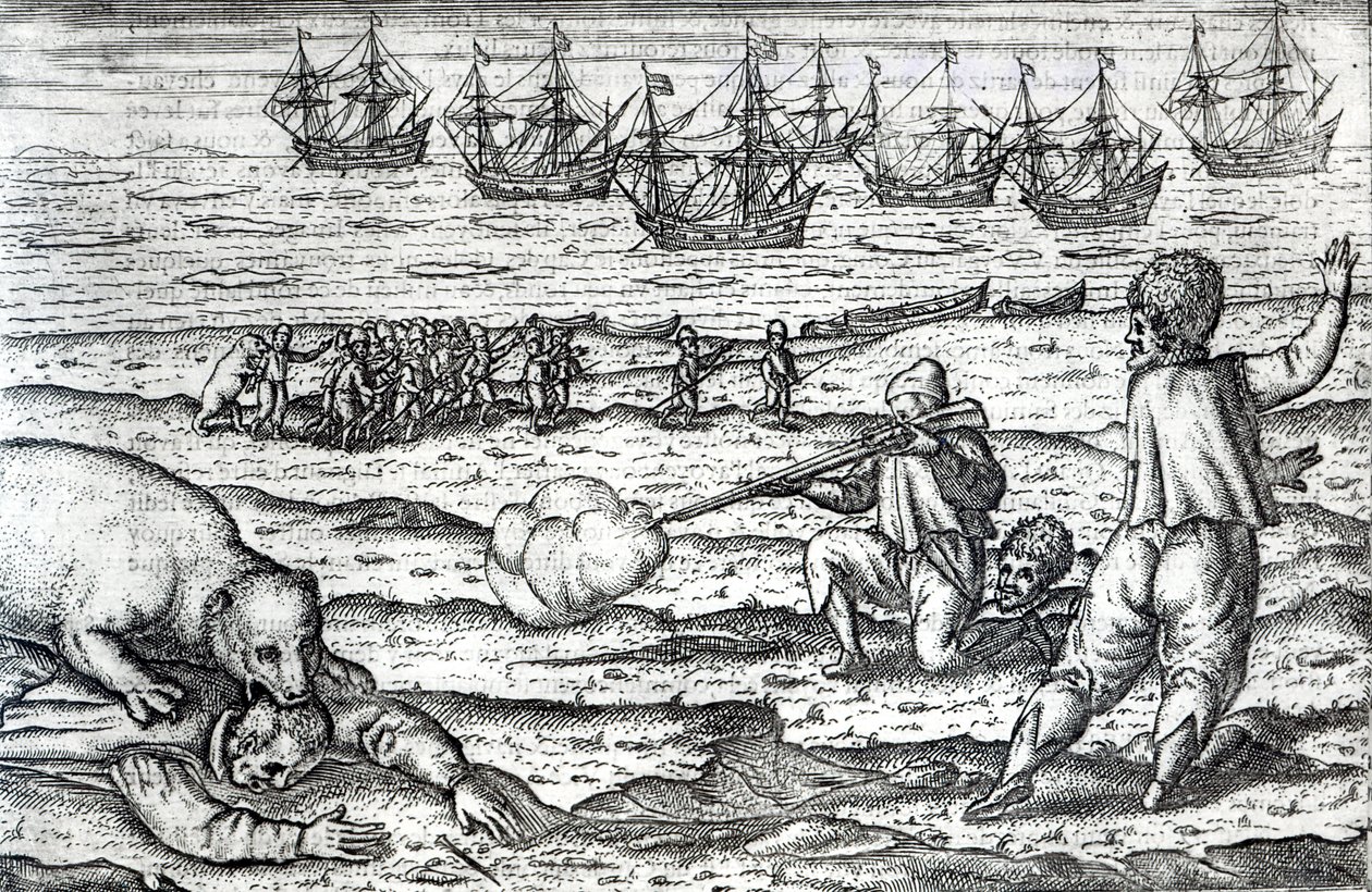 Marins attaqués par des ours polaires, illustration de 