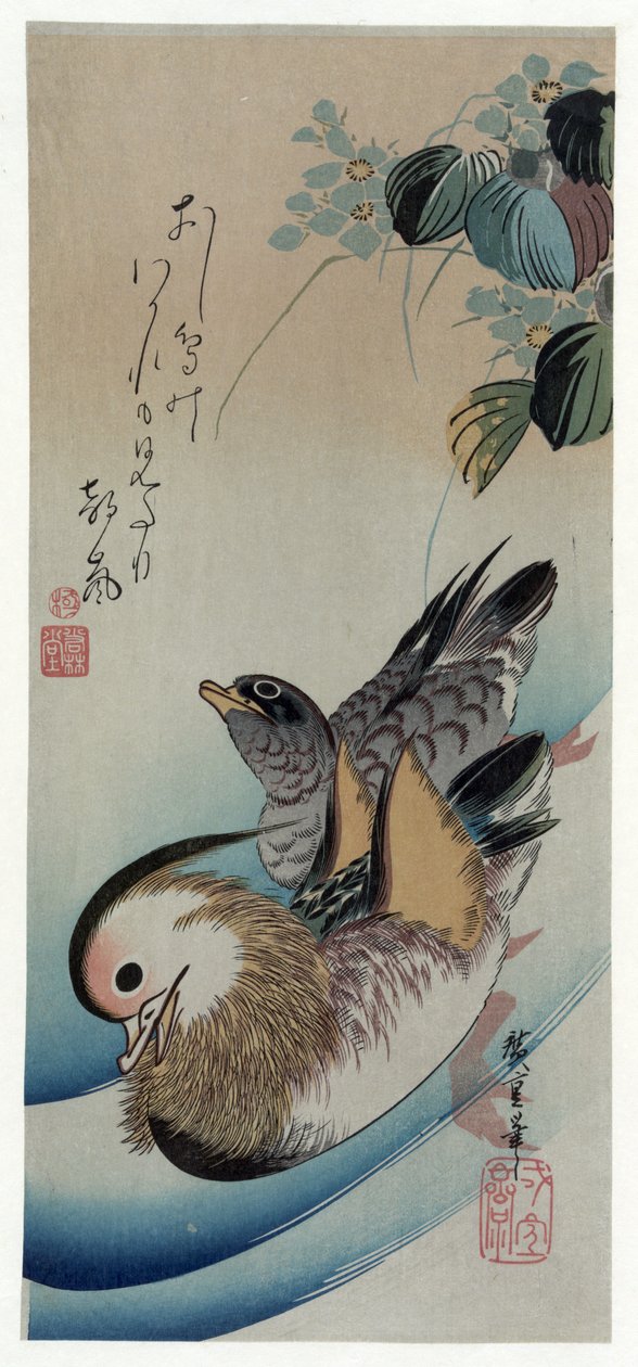 Oshidori (Canards mandarins) - Utagawa Hiroshige