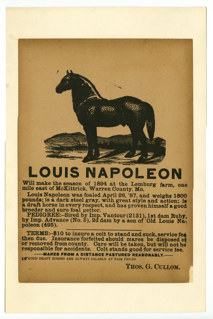 Affiche publicitaire pour le cheval de trait Louis Napoléon pour service, 1894 - Unknown