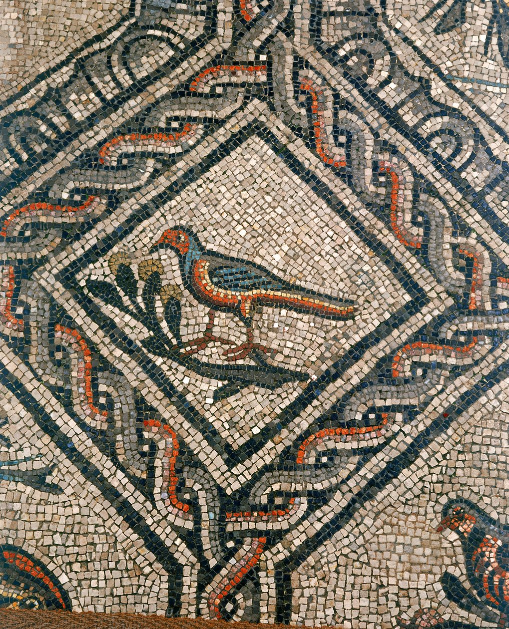 Détail du sol de la basilique paléochrétienne d