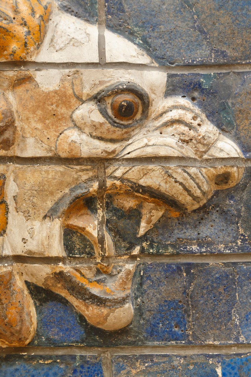 Istanbul, Turquie. Musée archéologique. Lion en brique émaillée en relief de la rue de la procession, Babylone, datant de la période de Nabuchodonosor II vers 604-562 av. J.-C. - Unknown