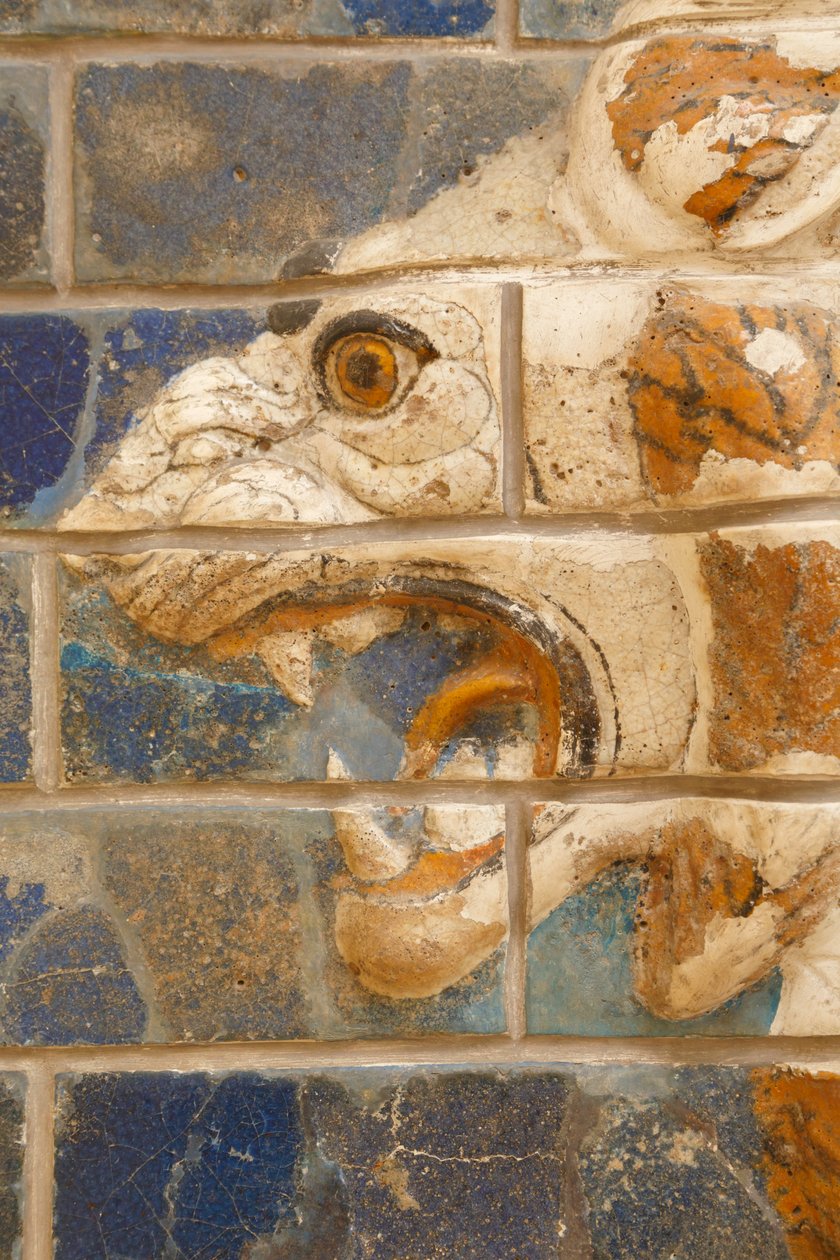 Istanbul, Turquie. Musée archéologique. Lion en brique émaillée en relief de la rue de la procession, Babylone, datant de la période de Nabuchodonosor II vers 604-562 av. J.-C. - Unknown