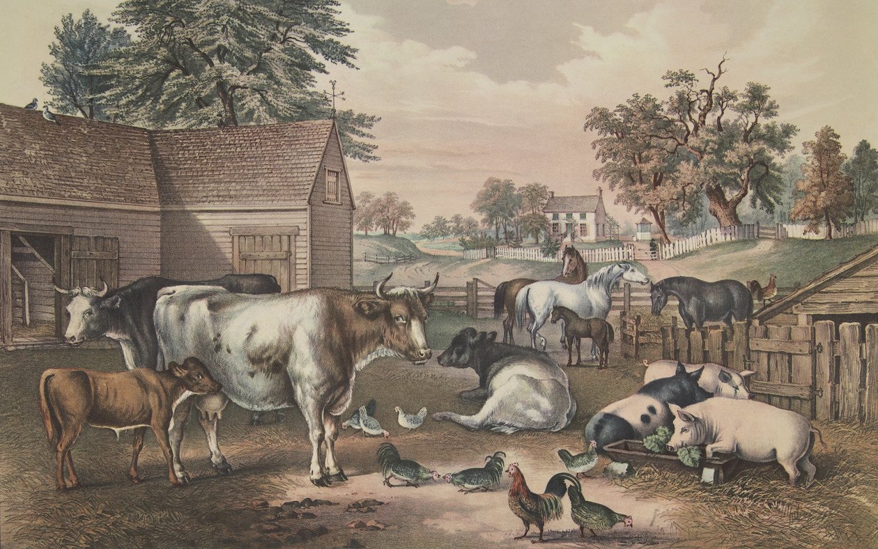Cour de Ferme Américaine - Soir - American School