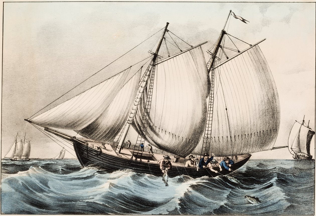 Pêche à la morue au large de Terre-Neuve, pub. 1872 - American School