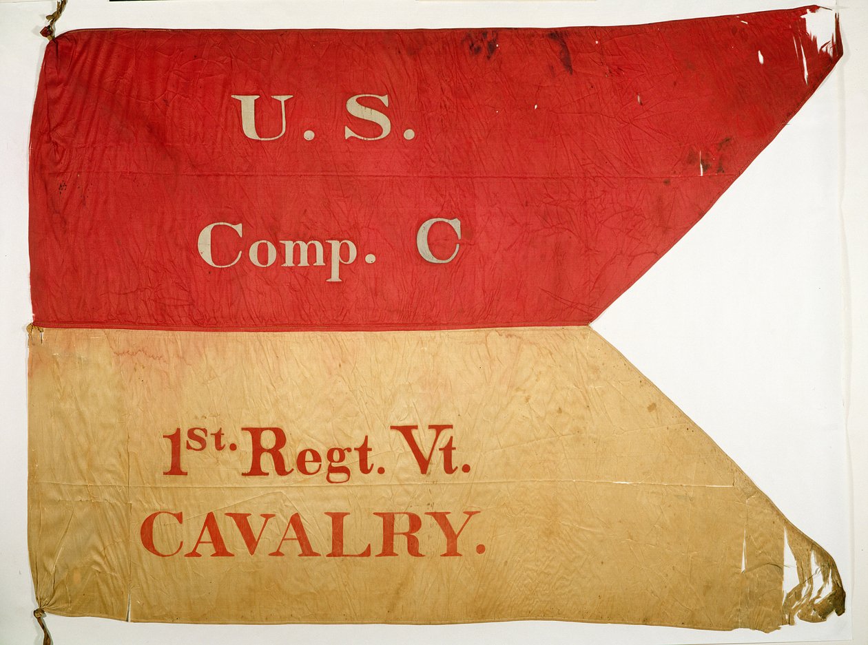 Drapeau Guidon - American School