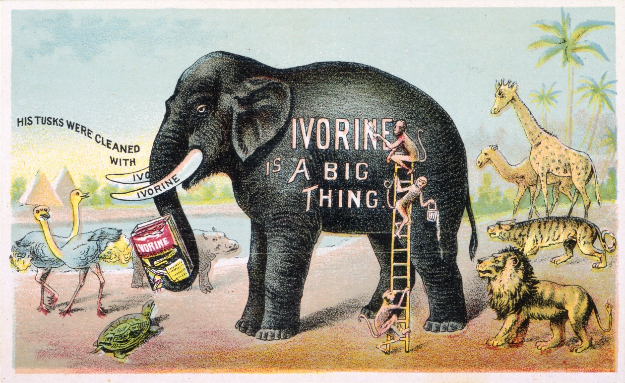 Ivorine est une Grande Chose (lithographie en couleur [carte commerciale]) - American School