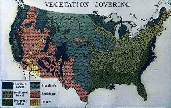Carte montrant la végétation couvrant les États-Unis d