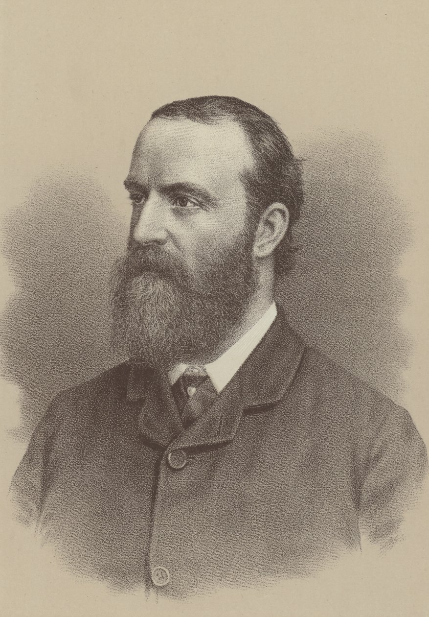 Charles Stewart Parnell, leader politique nationaliste irlandais, agitateur de la réforme agraire et fondateur et leader du Parti parlementaire irlandais - English School