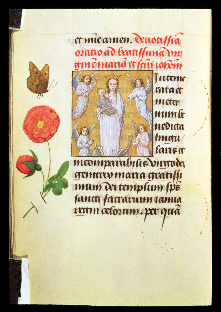 Vierge debout et enfant, adorés par des anges, c.1515-20 - Flemish School