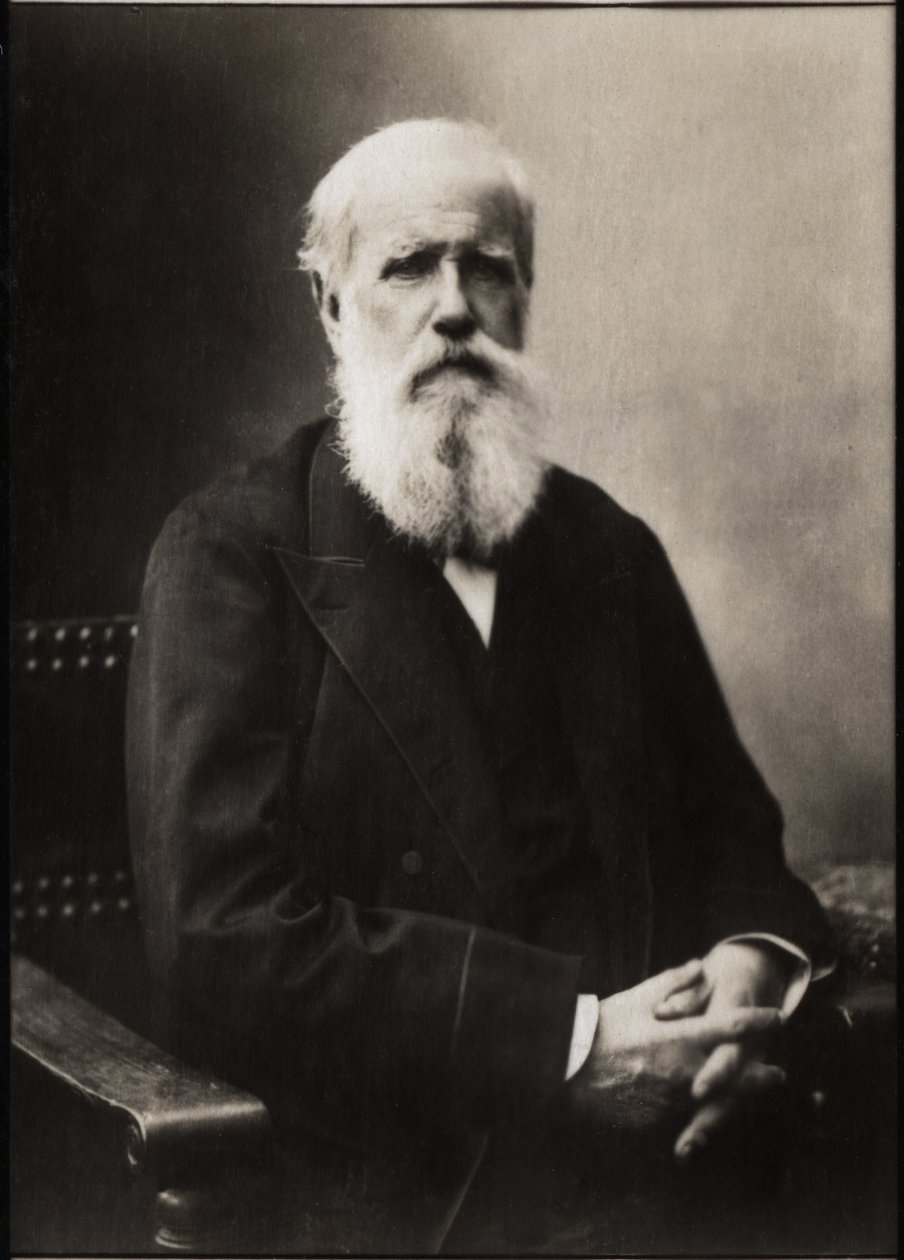 Portrait de Dom Pedro II (Pierre II) (1825-1891), empereur du Brésil - French Photographer