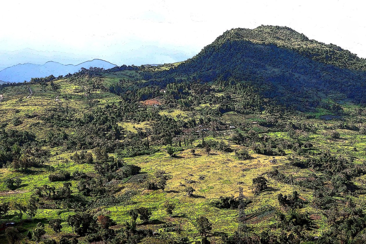 Collines de Cebu - Detlef B. Fischer
