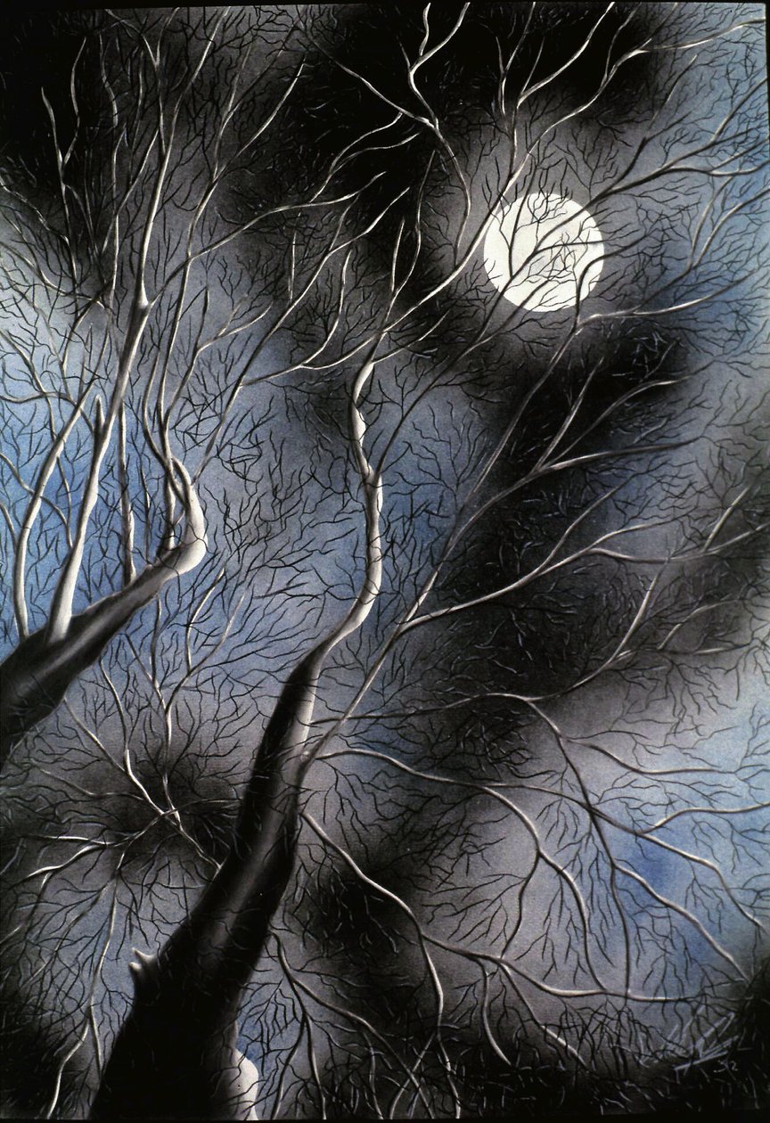 SENSATIONS - Anghel De Marco