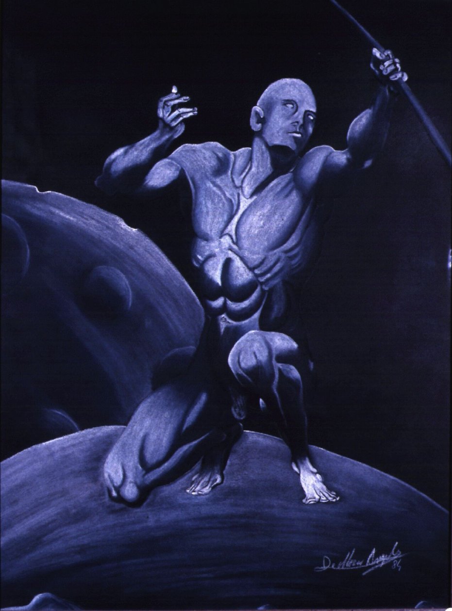 SURVIE - Anghel De Marco