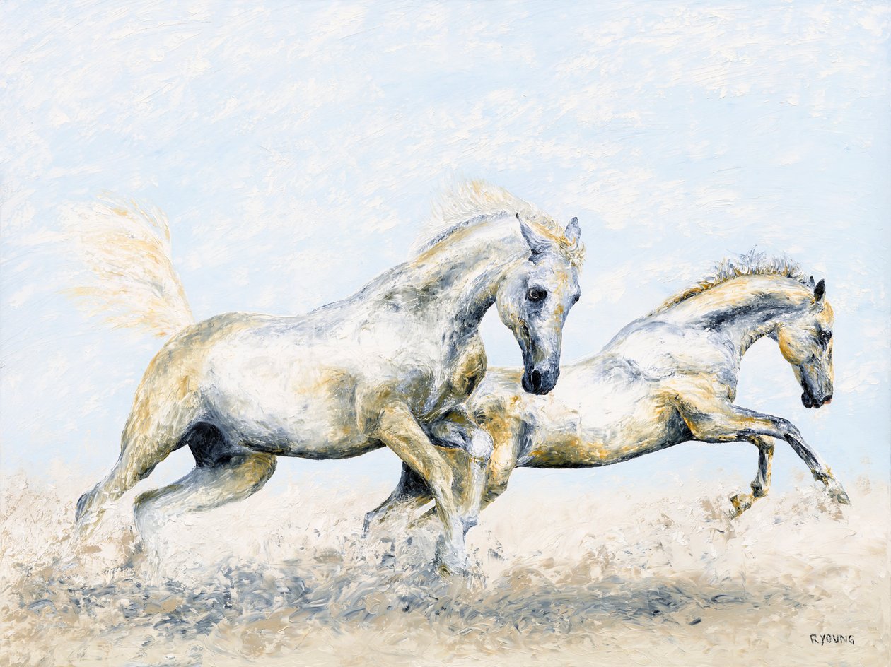 Chevaliers d