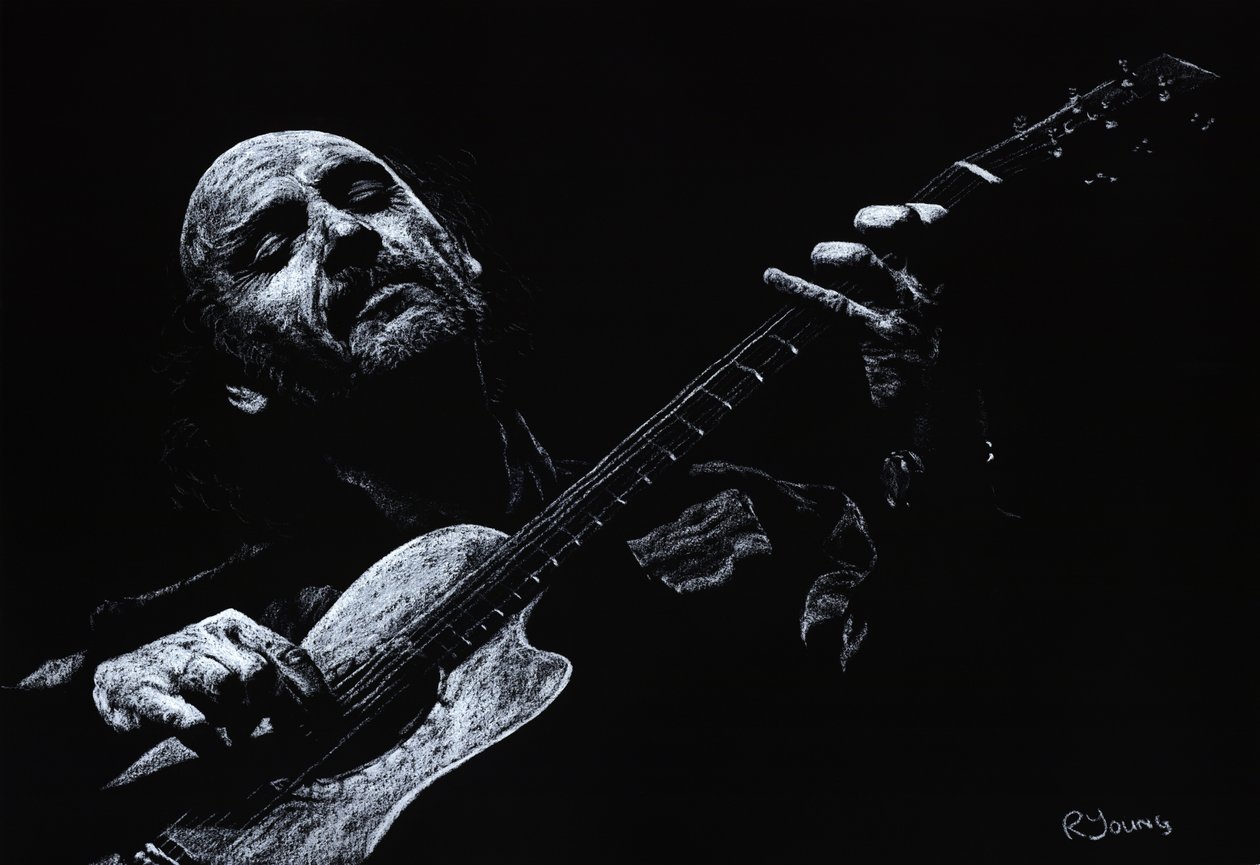 Sérénade acoustique - Richard Young