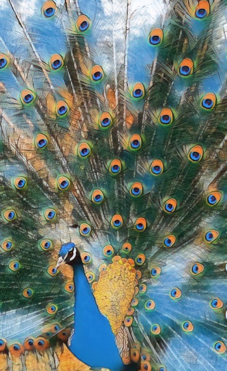 Pavo Real. - Margareta Uliarte