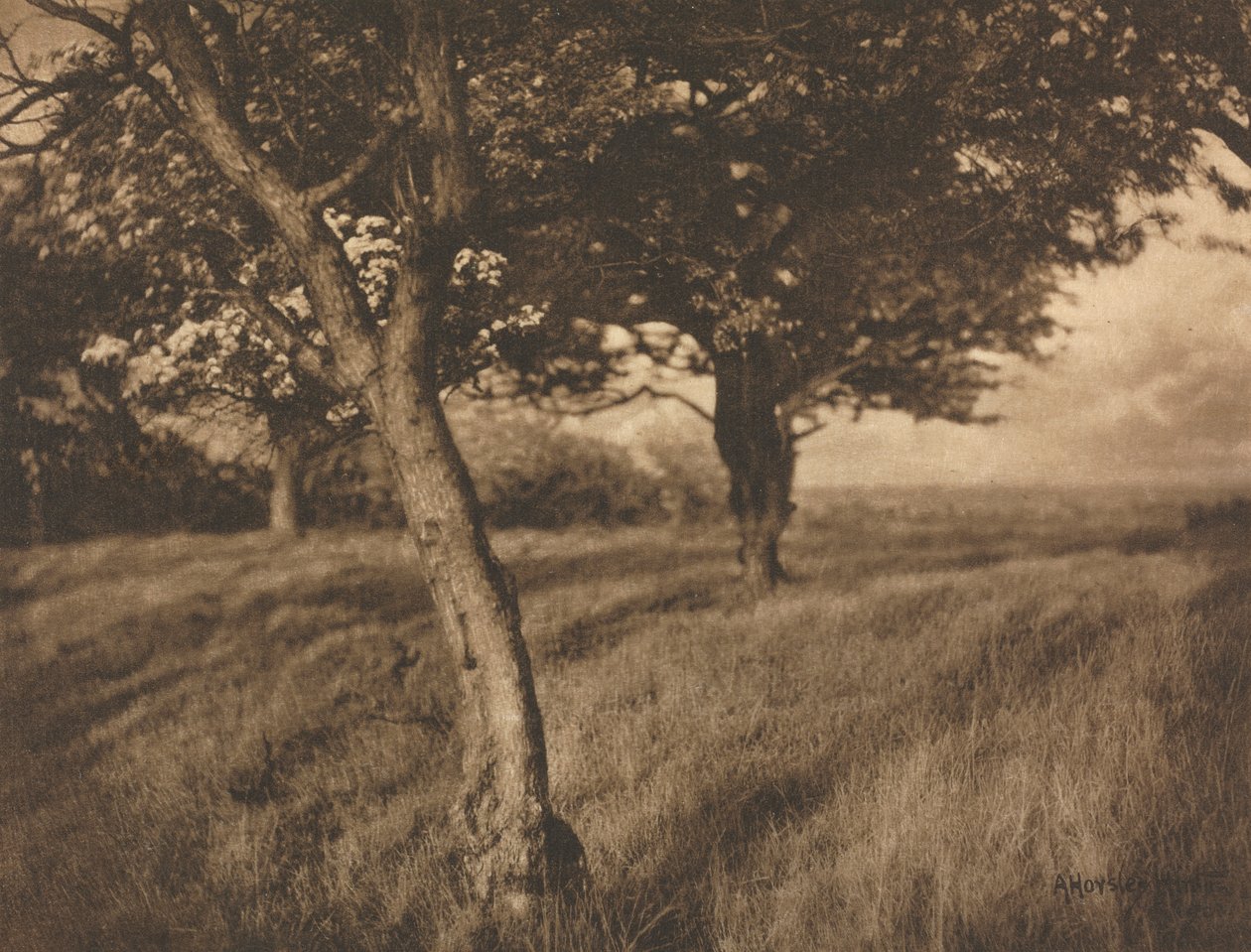 Camera Work: Au-delà - A. Horsley Hinton