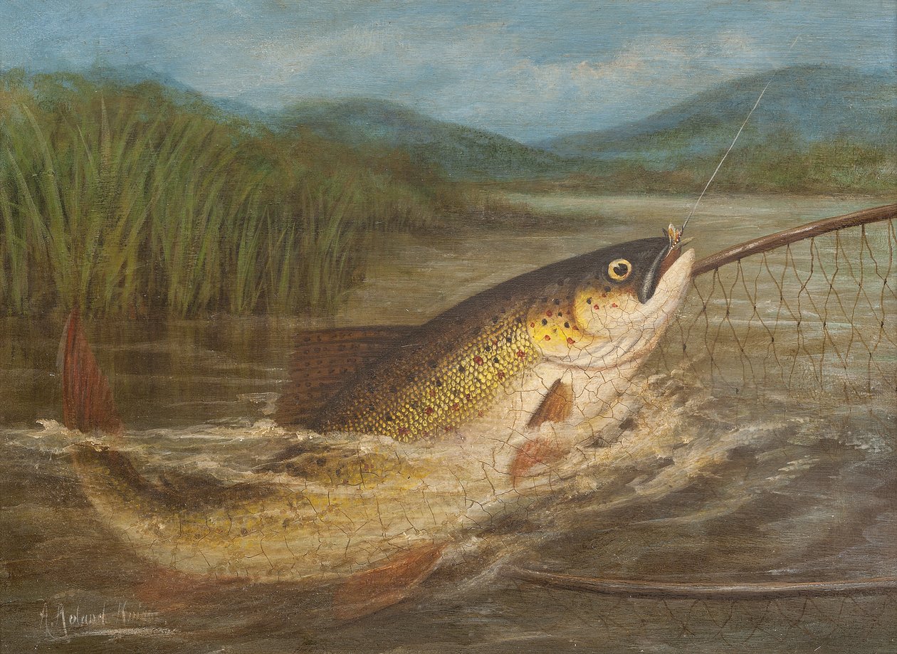 Le filet du pêcheur à la mouche - A. Roland Knight