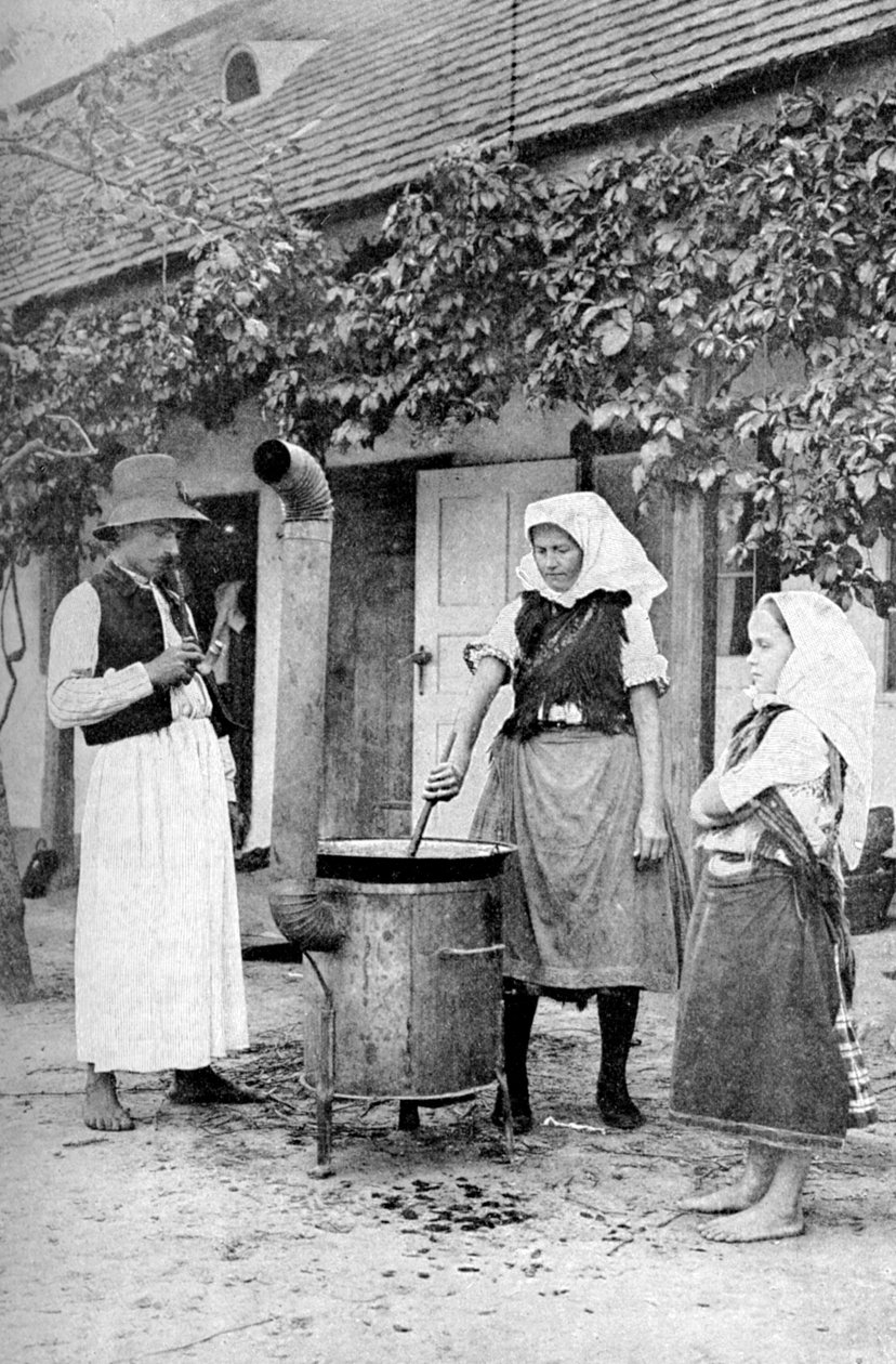 Faire de la gelée à Czinkota, Hongrie, 1922 - A. W. Cutler