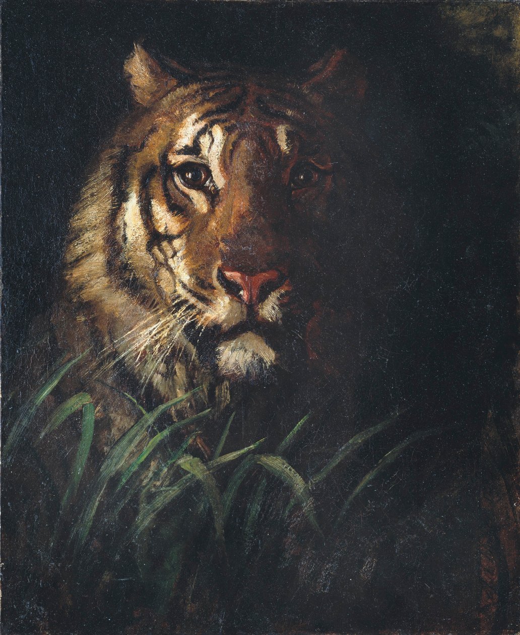 Tête de tigre - Abbott Handerson Thayer