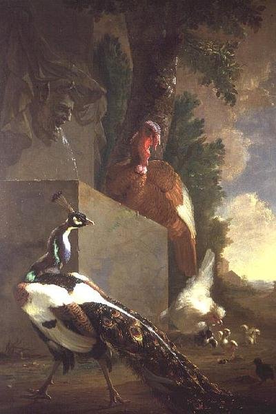 Oiseaux près d