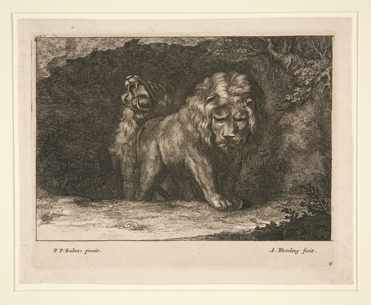 Lions - Abraham Blooteling