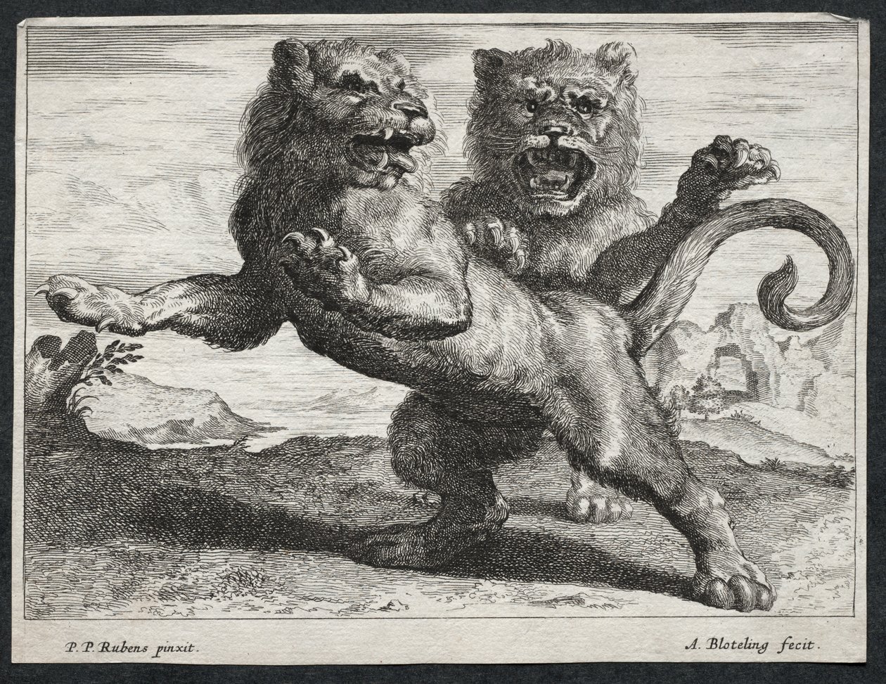 Divers lions - Abraham Blooteling