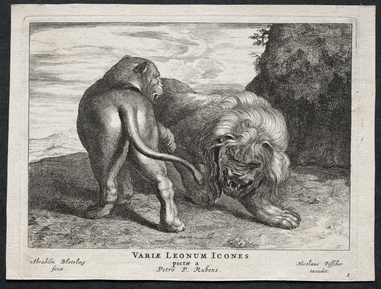 Divers lions - Abraham Blooteling