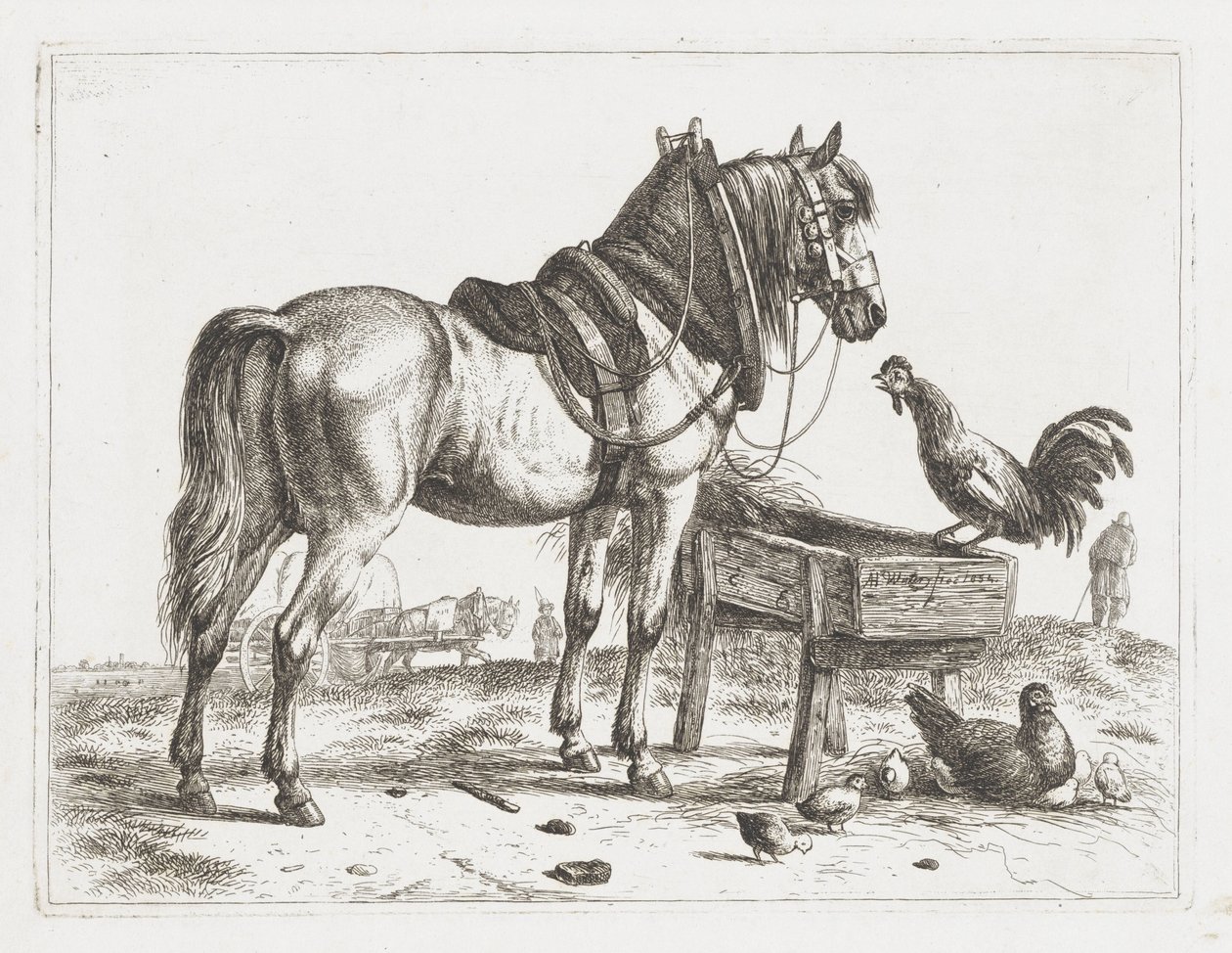 Cheval près d