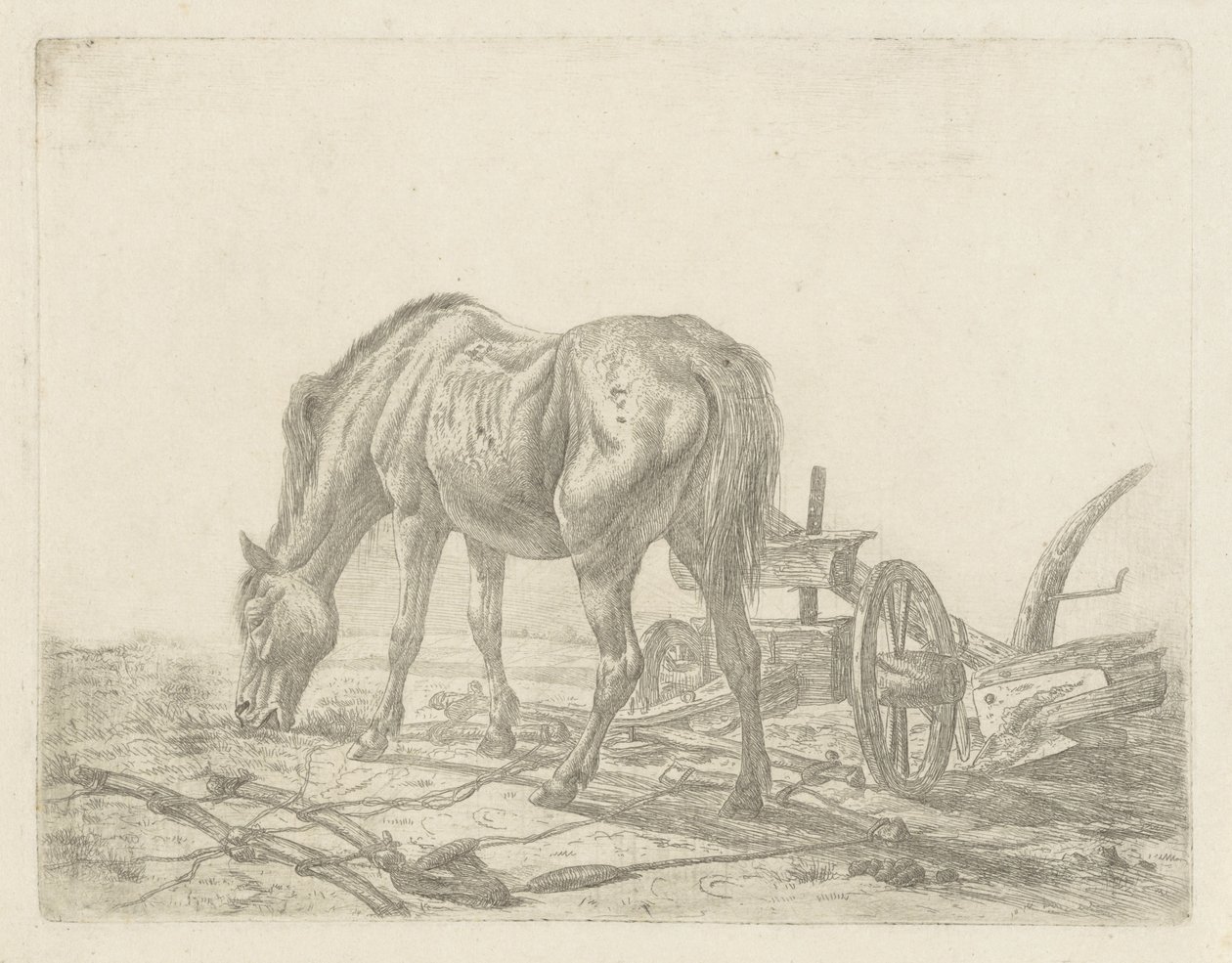 Cheval dételé près d