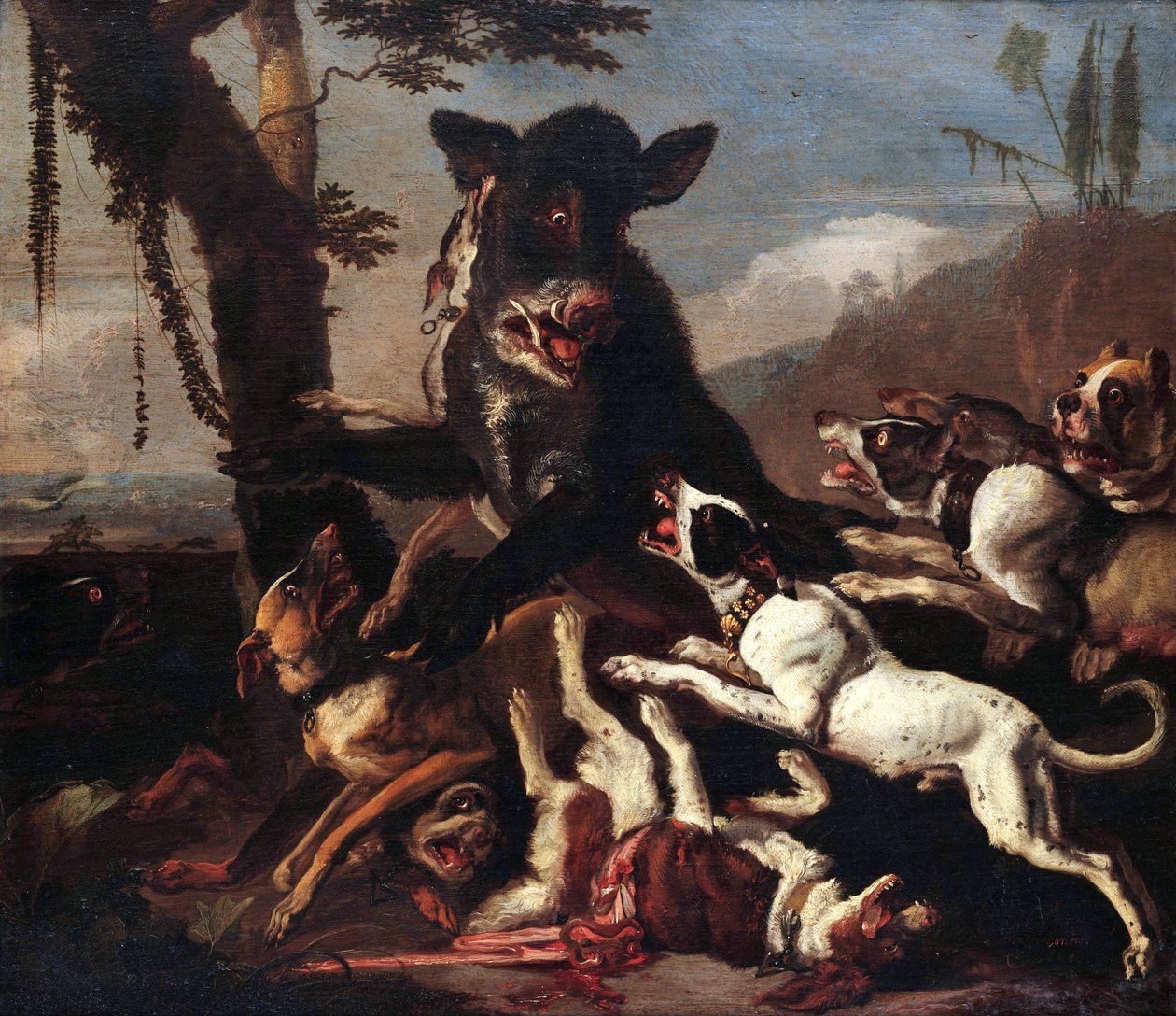 Chasse au sanglier - Abraham Hondius