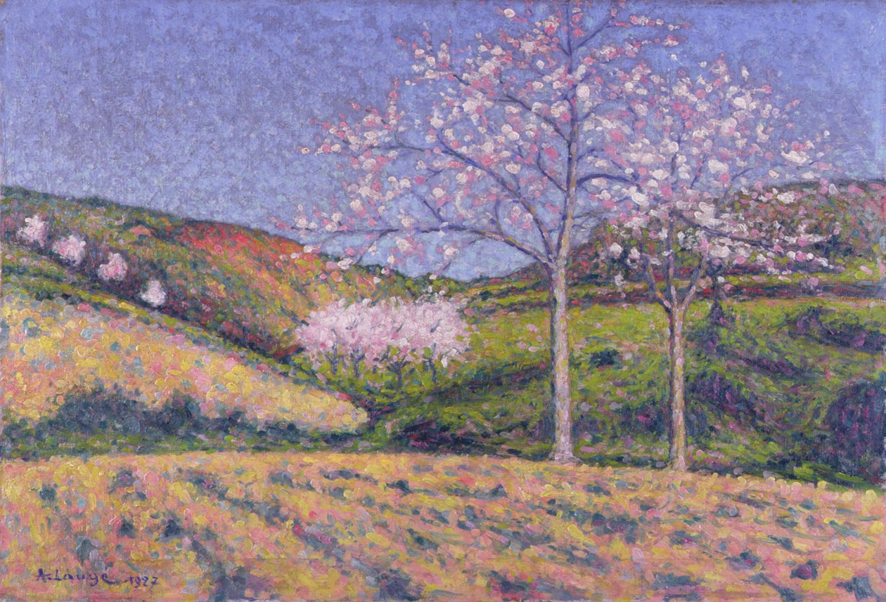 Amandiers en fleurs - Achille Lauge
