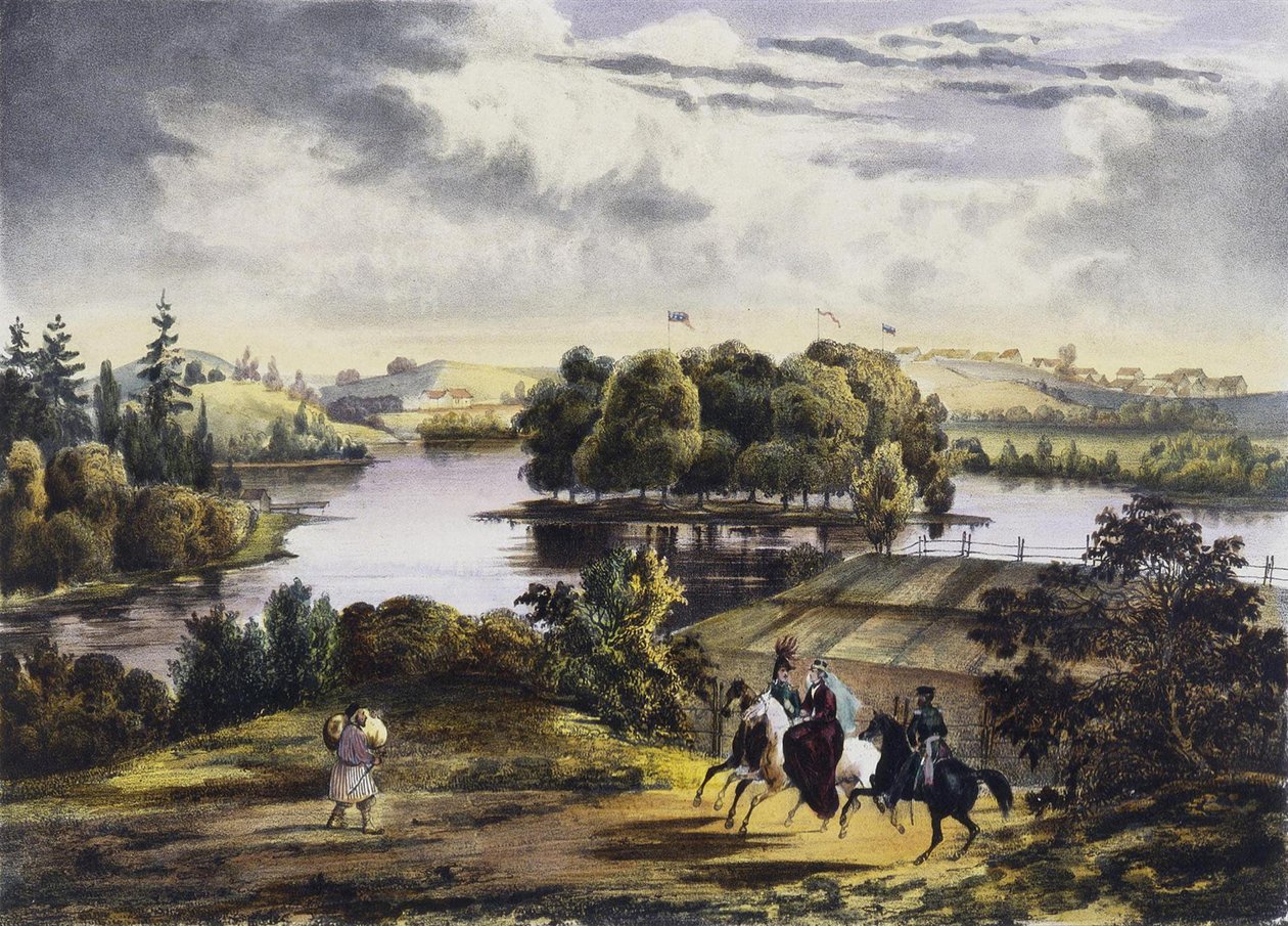 Vue d