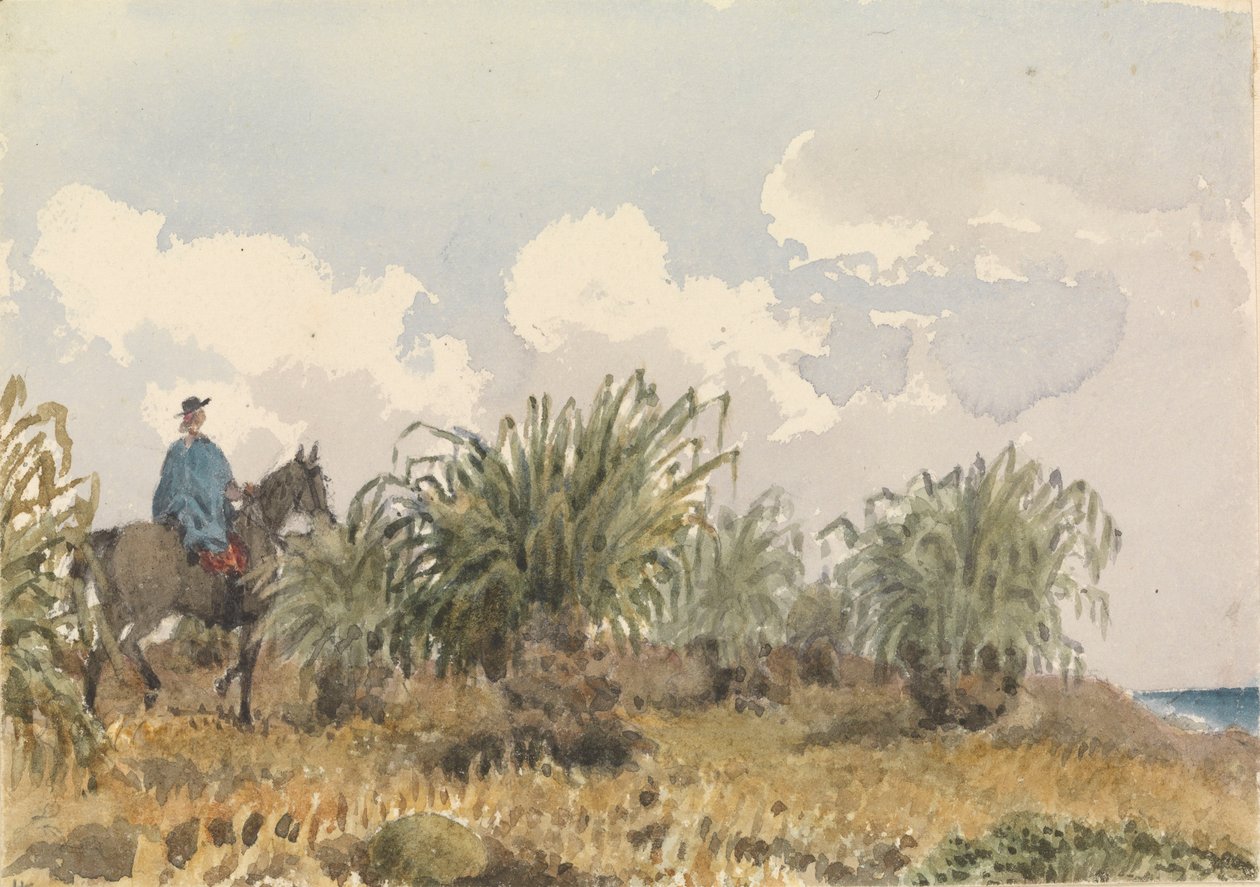 Herbe de Tussac, Îles Falkland - Admiral Sir Edward Gennys Fanshawe