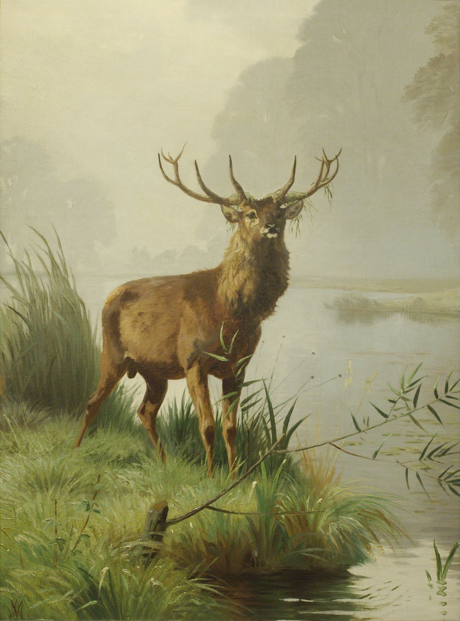 Cerf rouge - Adolf Mackeprang