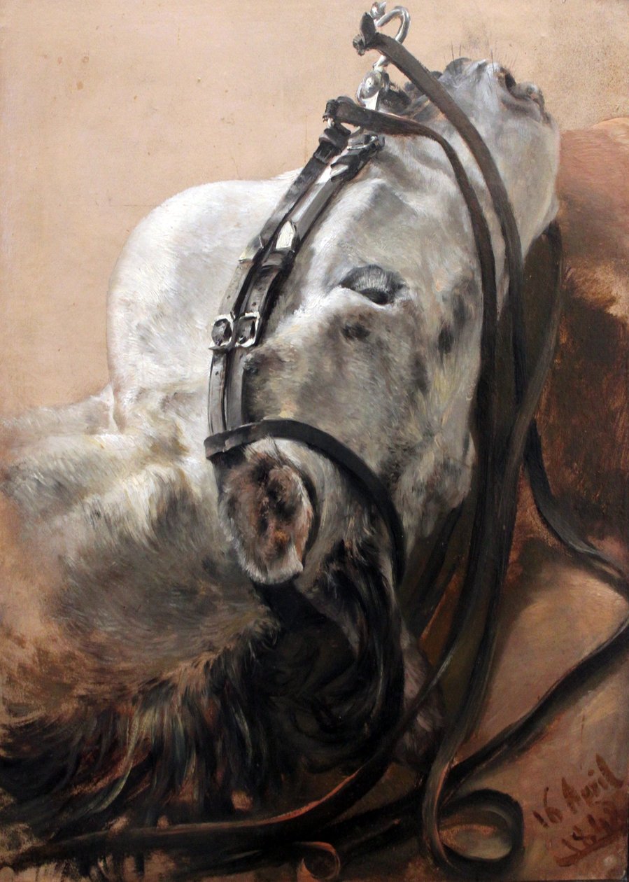 Étude de cheval - Adolph Menzel