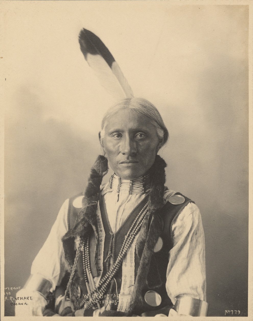 Buffles blancs, Cheyennes - Adolph F. Muhr