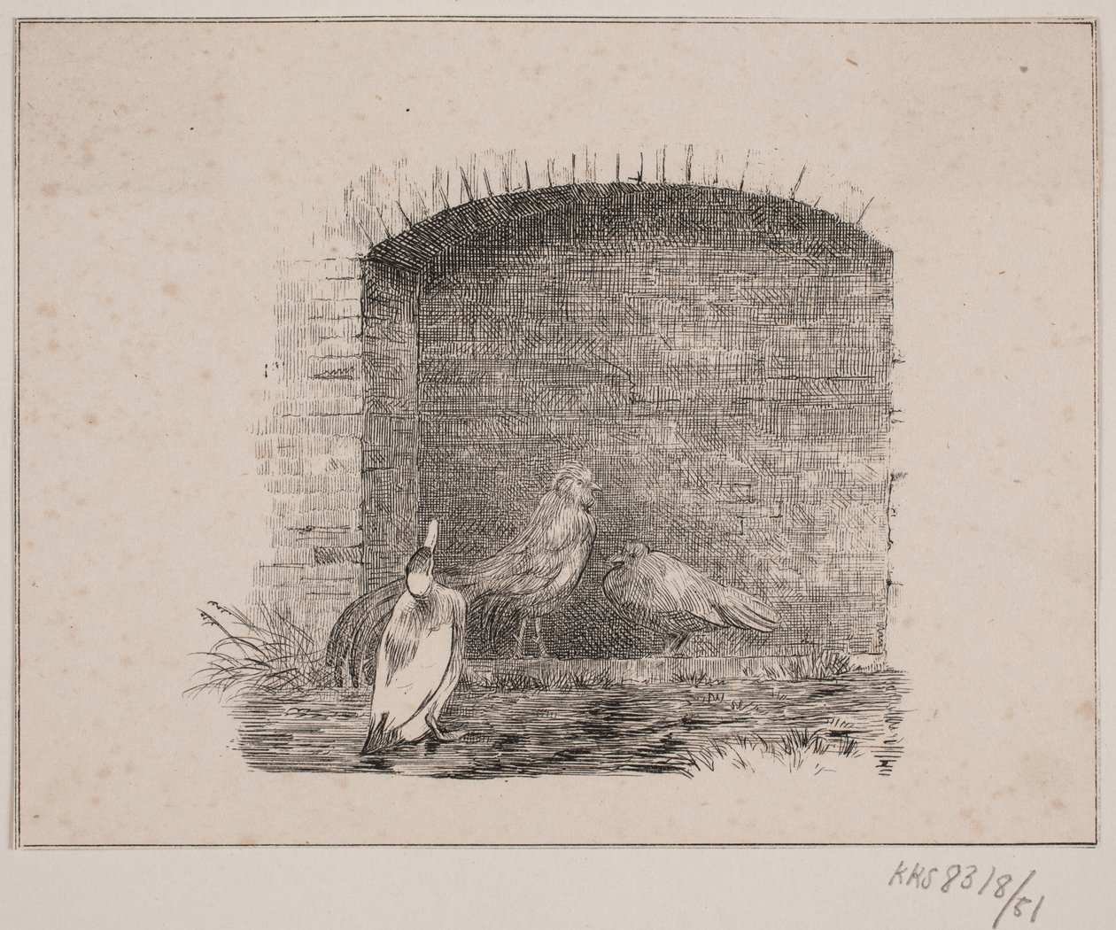 Les poules et les canards - Johan Adolph Kittendorff
