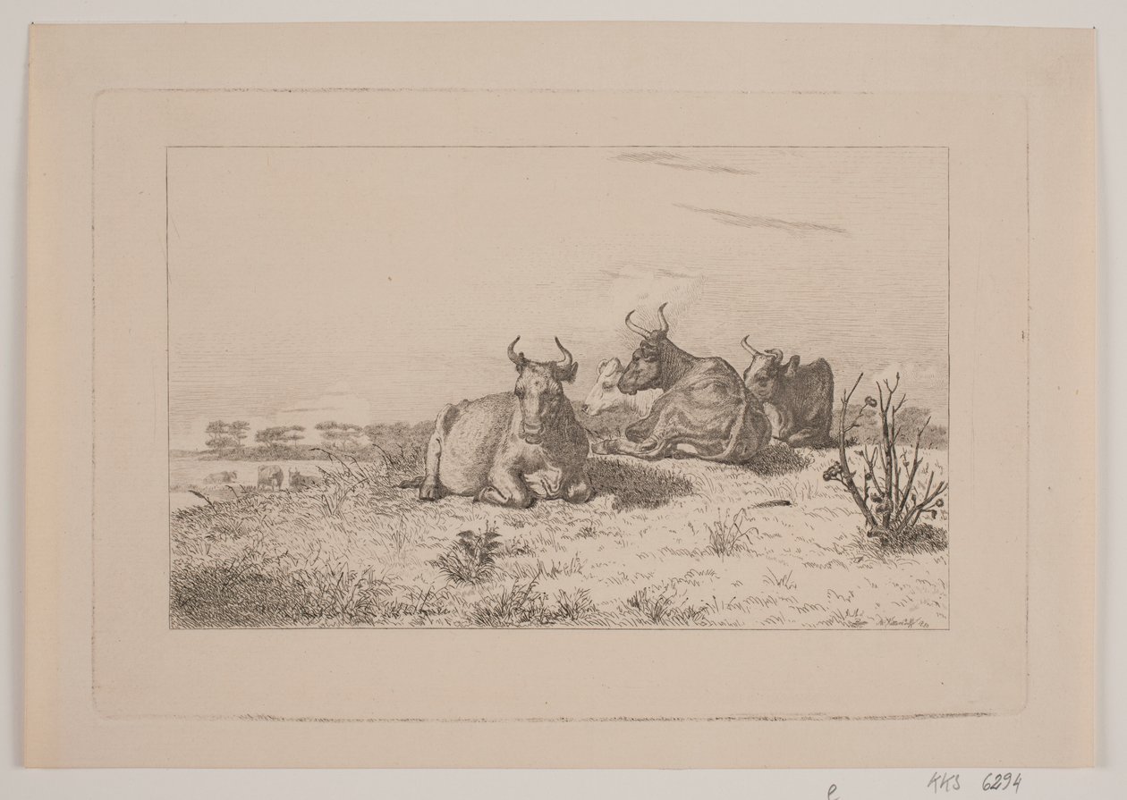 Vaches au repos - Johan Adolph Kittendorff
