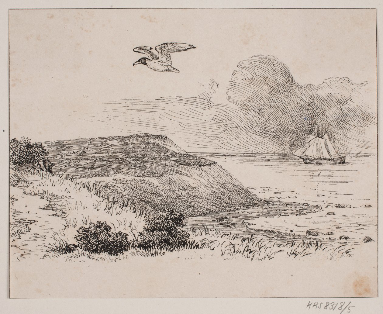 La mouette - Johan Adolph Kittendorff