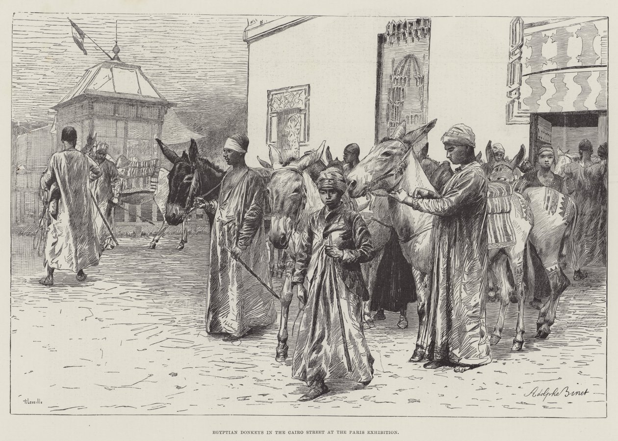 Ânes égyptiens dans la rue du Caire à l