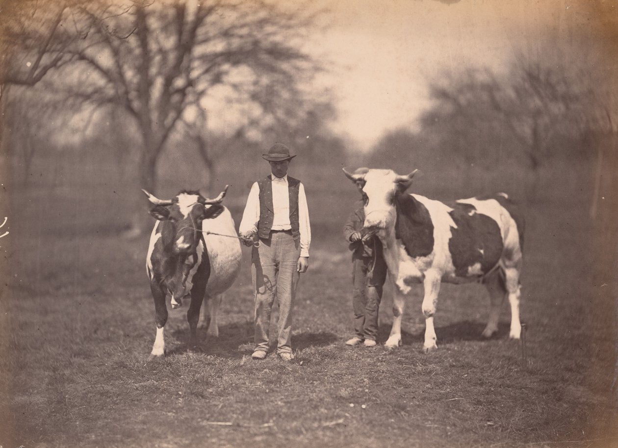 Paysage,c. 1864 (photo) - Adolphe Braun