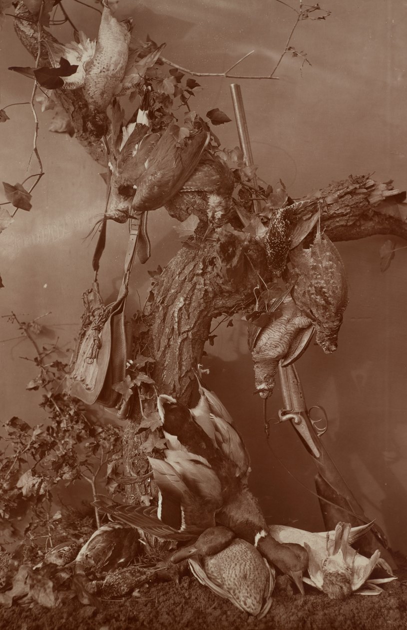 [Still Life : Dead Game] - Adolphe Braun