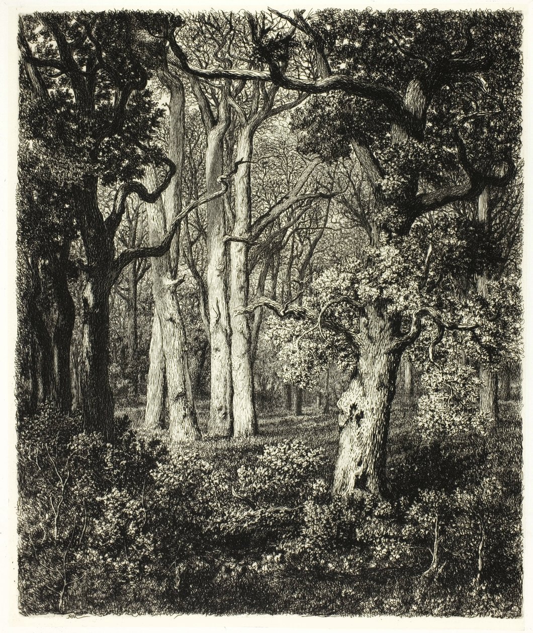 Vieux chênes à Bas Bréau - Adolphe Martial Potemont